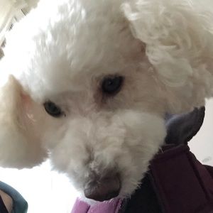 Meet your Posher, Amalia